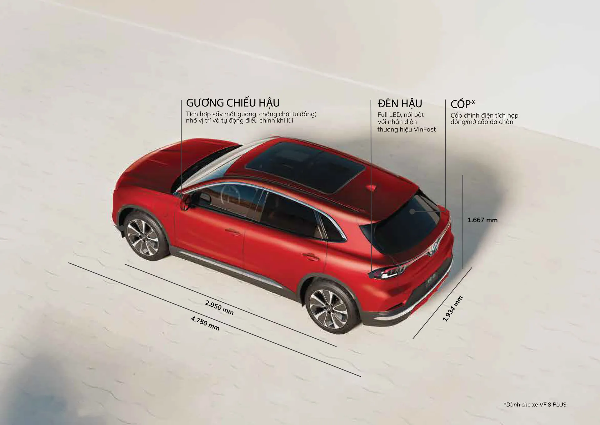 VF8_Brochure_T04-4